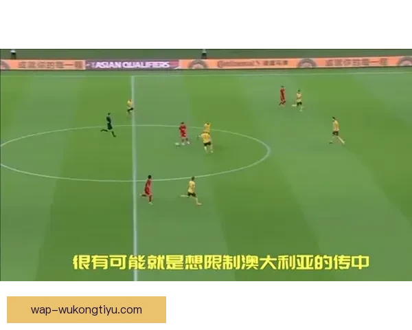 马蹄狗足球直播全景解析实时赛事精彩看点与专业解说深度互动体验